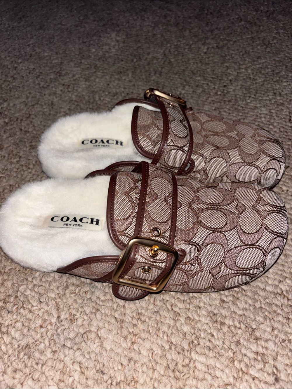 COACH Archival Buckle Clog Canvas With Shearling - Picture 1 of 9